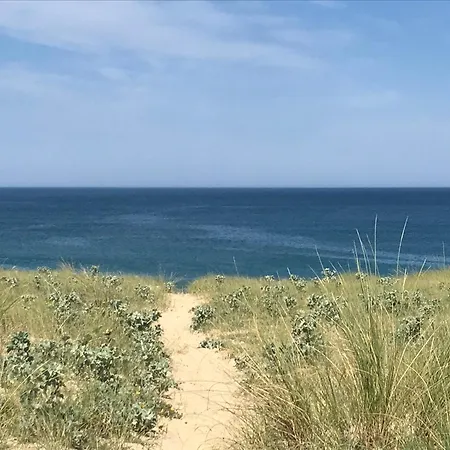 La Landaise - Les Maisons Huraia *